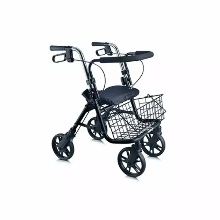 evolution series walker