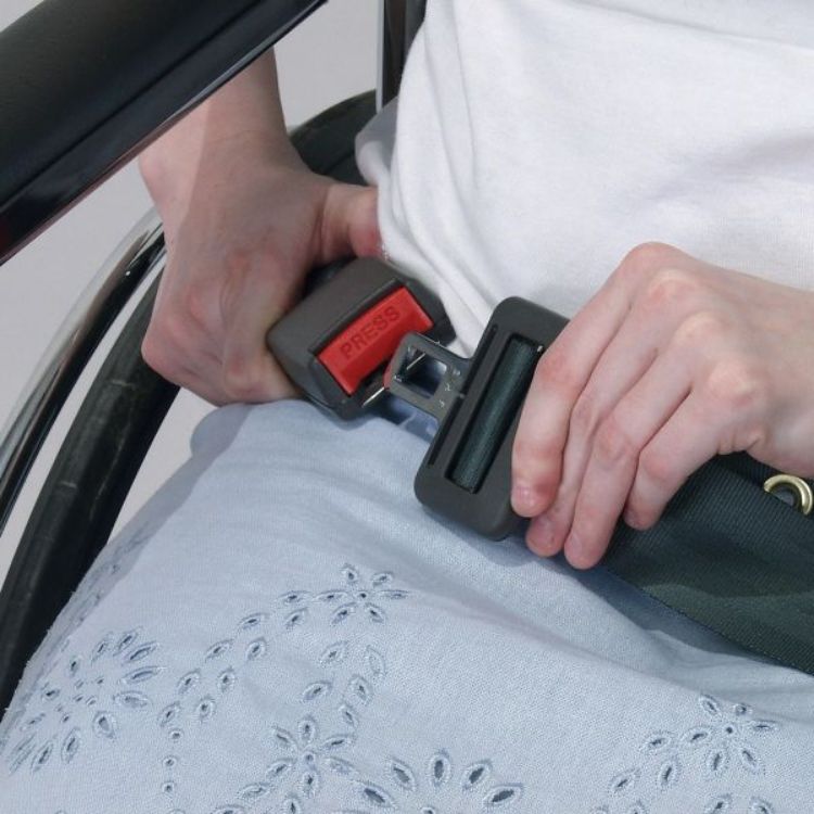 Replacement belt for Buckled Seat Belt